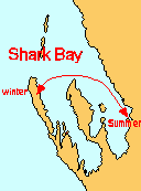 sharkbay